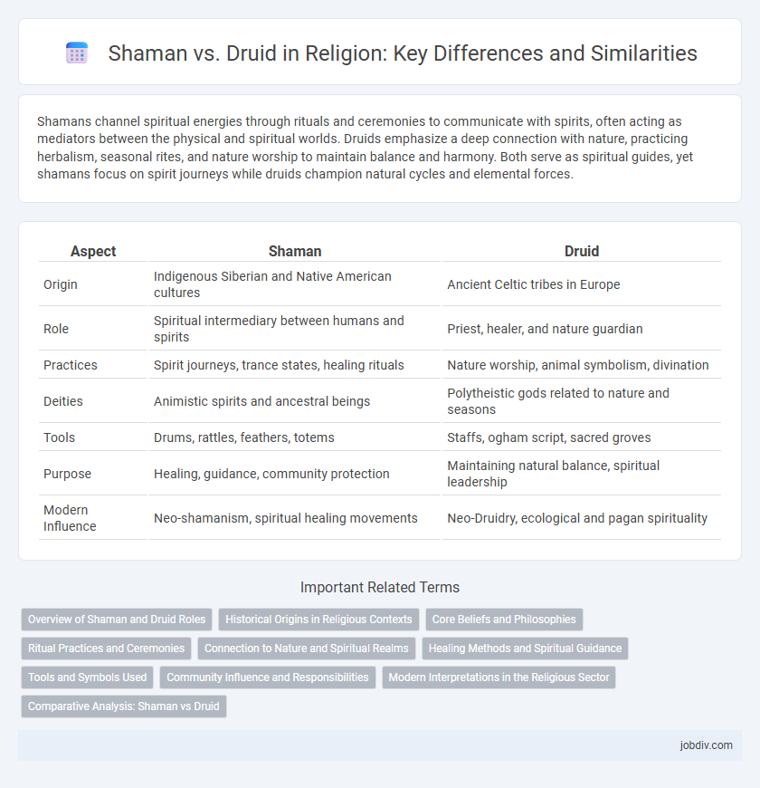 Shaman vs. Druid in Religion: Key Differences and Similarities