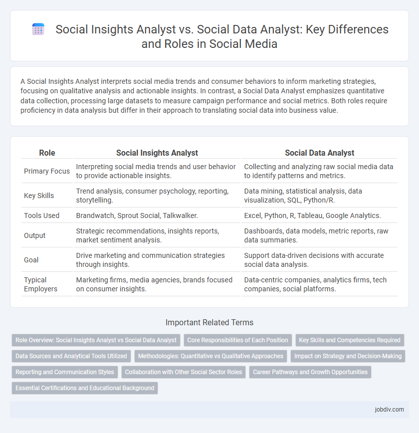 Social Insights Analyst vs. Social Data Analyst: Key Differences and Roles in Social Media