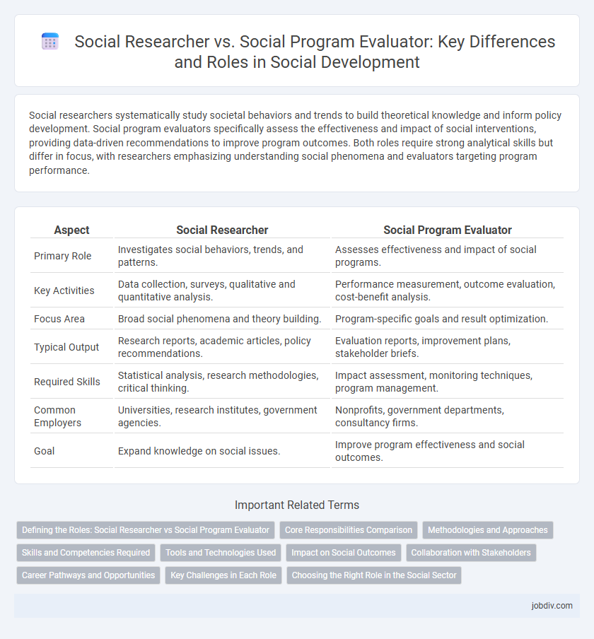 Social Researcher vs. Social Program Evaluator: Key Differences and Roles in Social Development