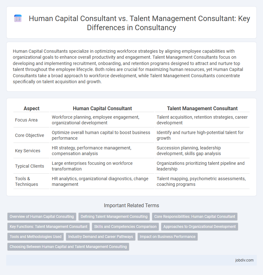 Human Capital Consultant vs. Talent Management Consultant: Key Differences in Consultancy