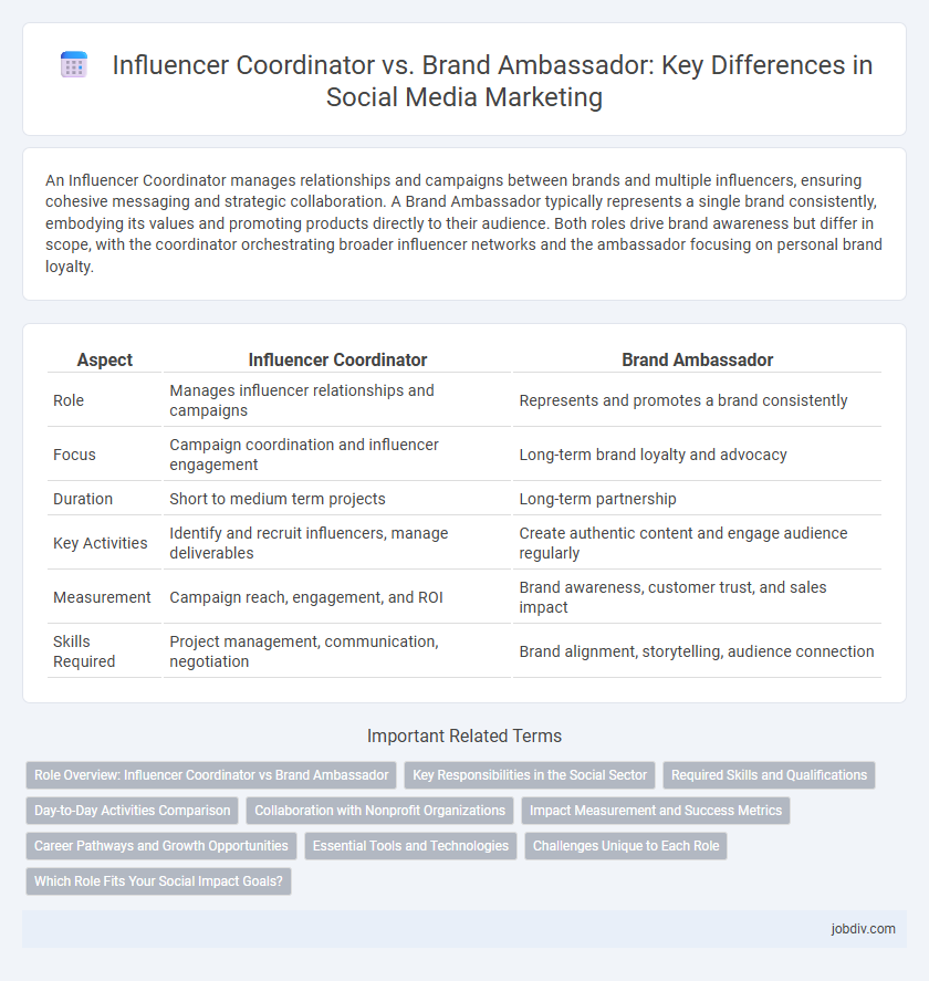 Influencer Coordinator vs. Brand Ambassador: Key Differences in Social Media Marketing