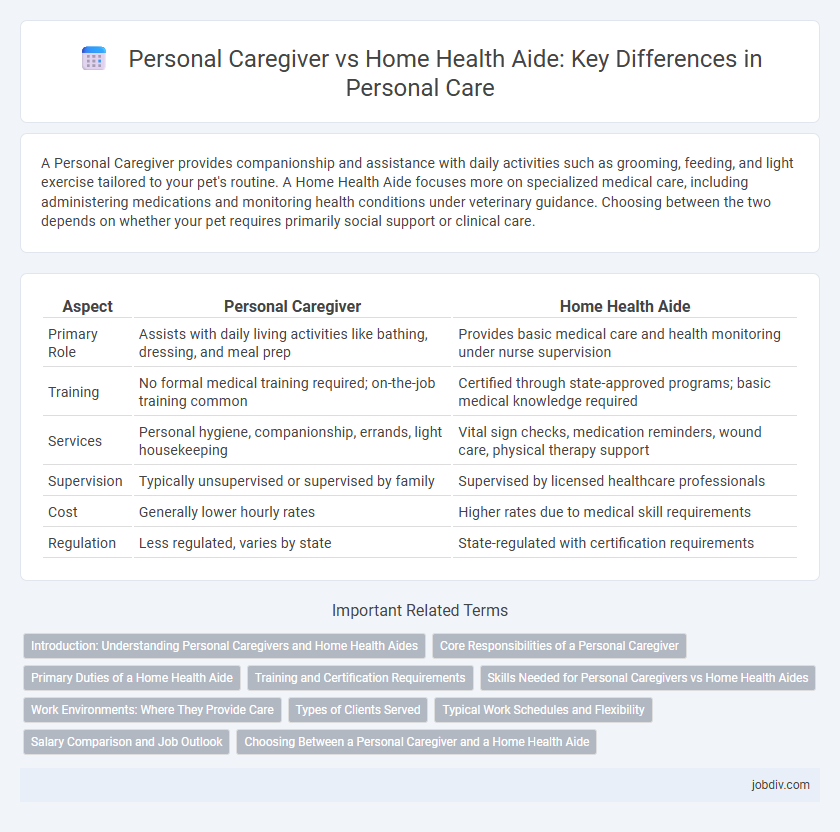 Personal Caregiver vs Home Health Aide: Key Differences in Personal Care