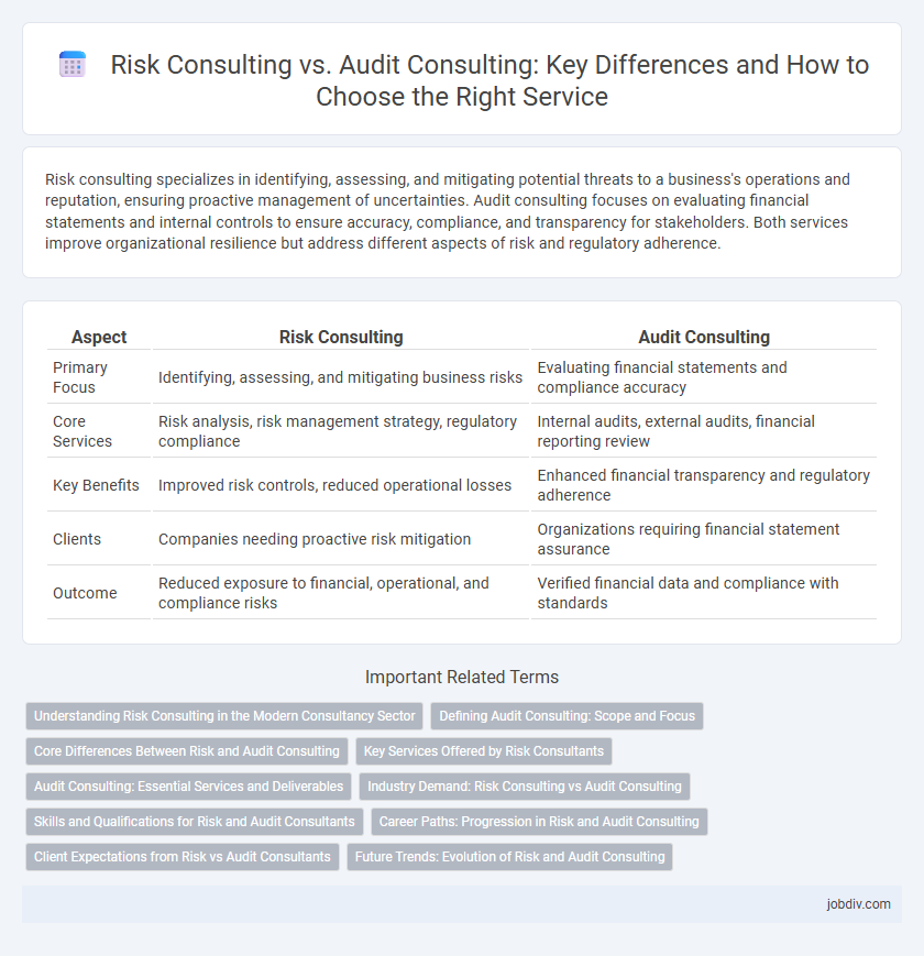 Risk Consulting vs. Audit Consulting: Key Differences and How to Choose the Right Service
