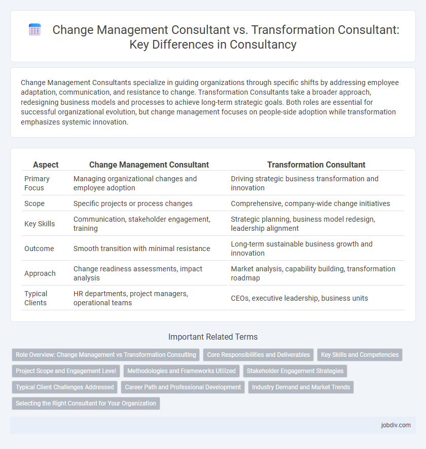 Change Management Consultant vs. Transformation Consultant: Key Differences in Consultancy