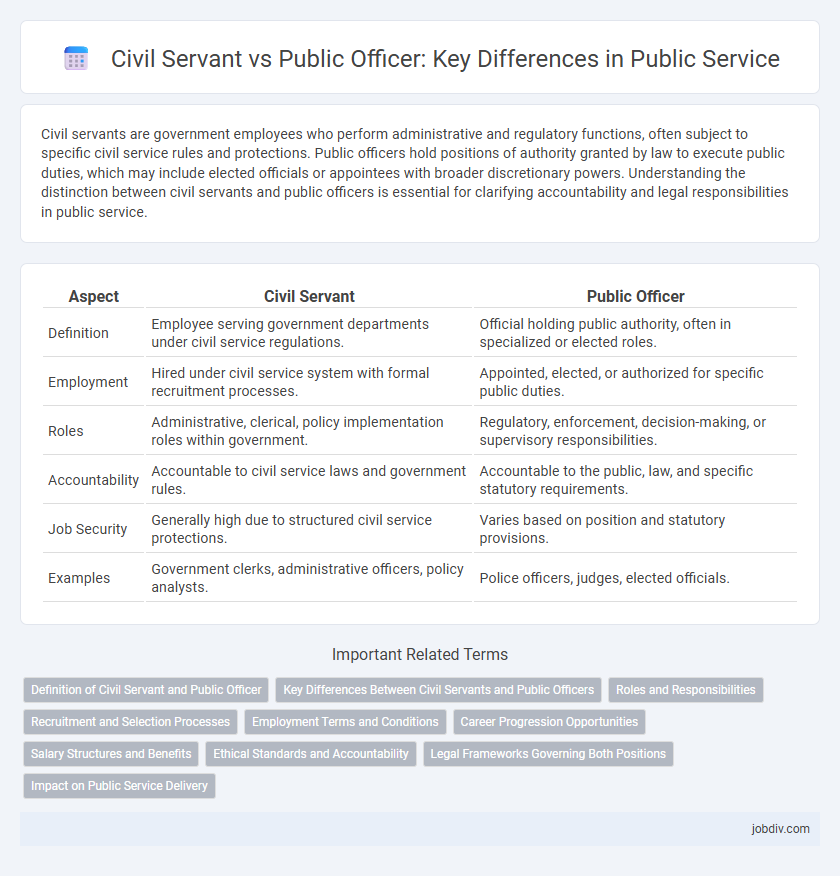 Civil Servant vs Public Officer: Key Differences in Public Service