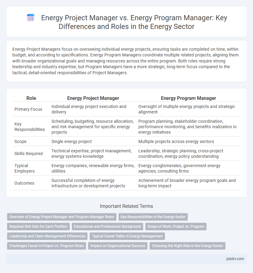 Energy Project Manager vs. Energy Program Manager: Key Differences and Roles in the Energy Sector