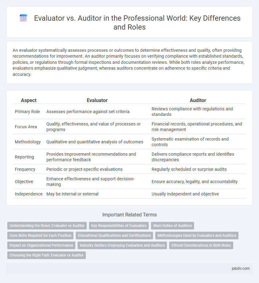 Evaluator vs. Auditor in the Professional World: Key Differences and Roles