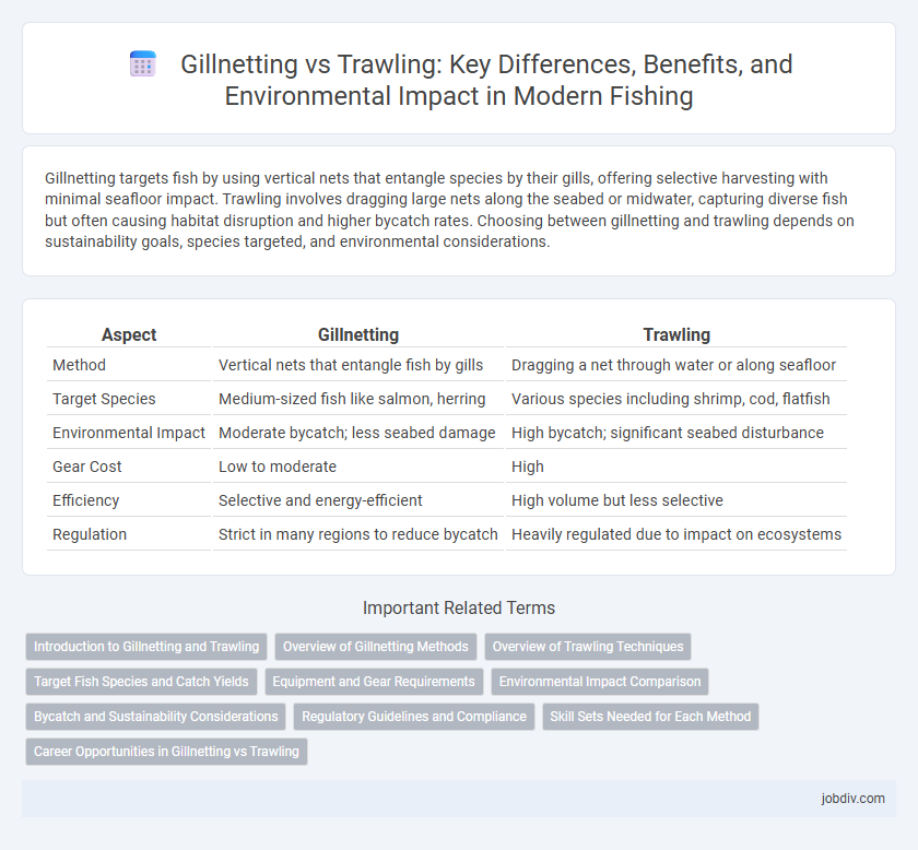 Gillnetting vs Trawling: Key Differences, Benefits, and Environmental Impact in Modern Fishing