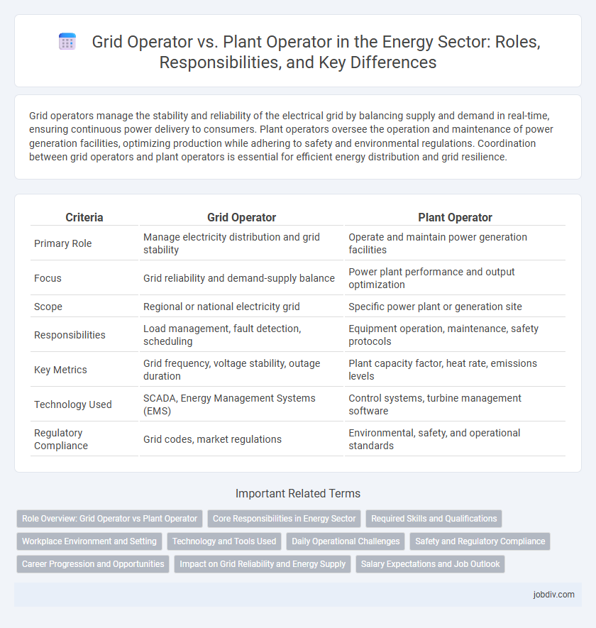 Grid Operator vs. Plant Operator in the Energy Sector: Roles, Responsibilities, and Key Differences