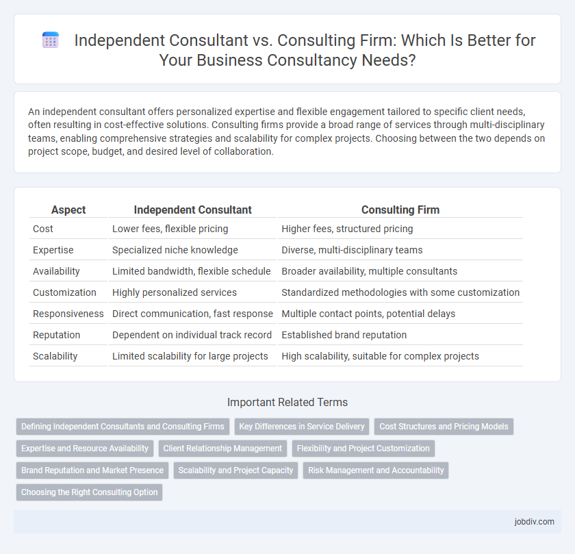 Independent Consultant vs. Consulting Firm: Which Is Better for Your Business Consultancy Needs?