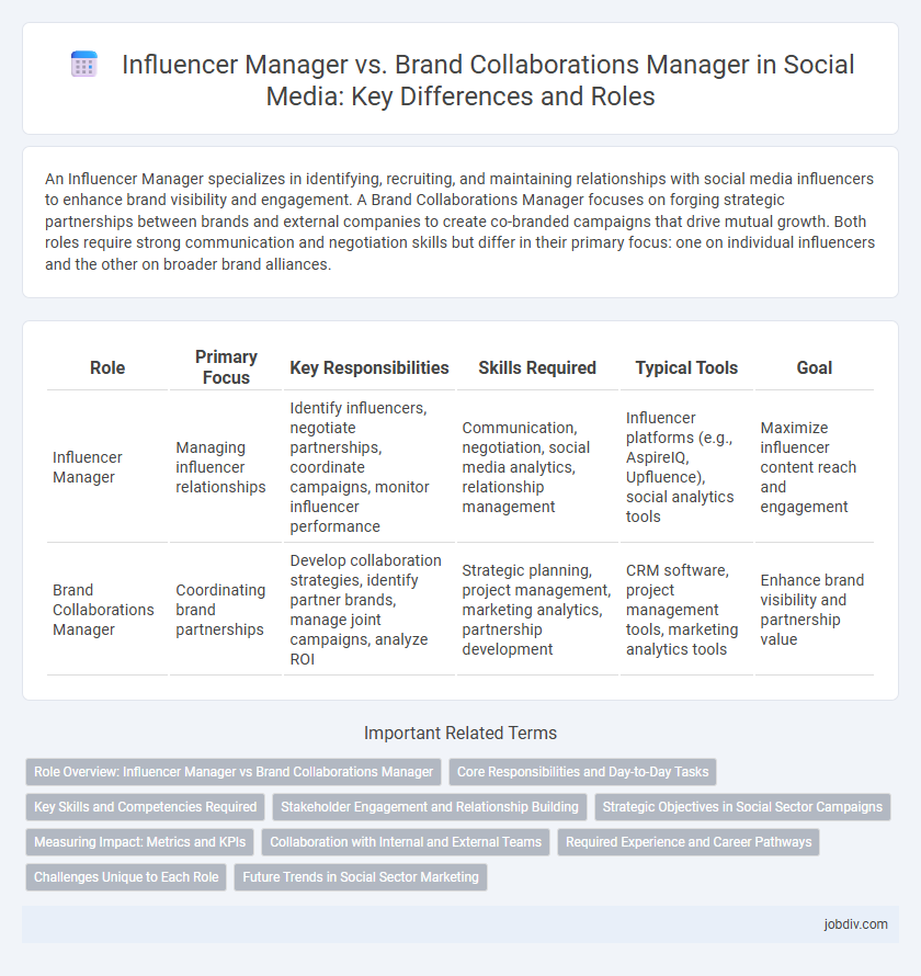 Influencer Manager vs. Brand Collaborations Manager in Social Media: Key Differences and Roles