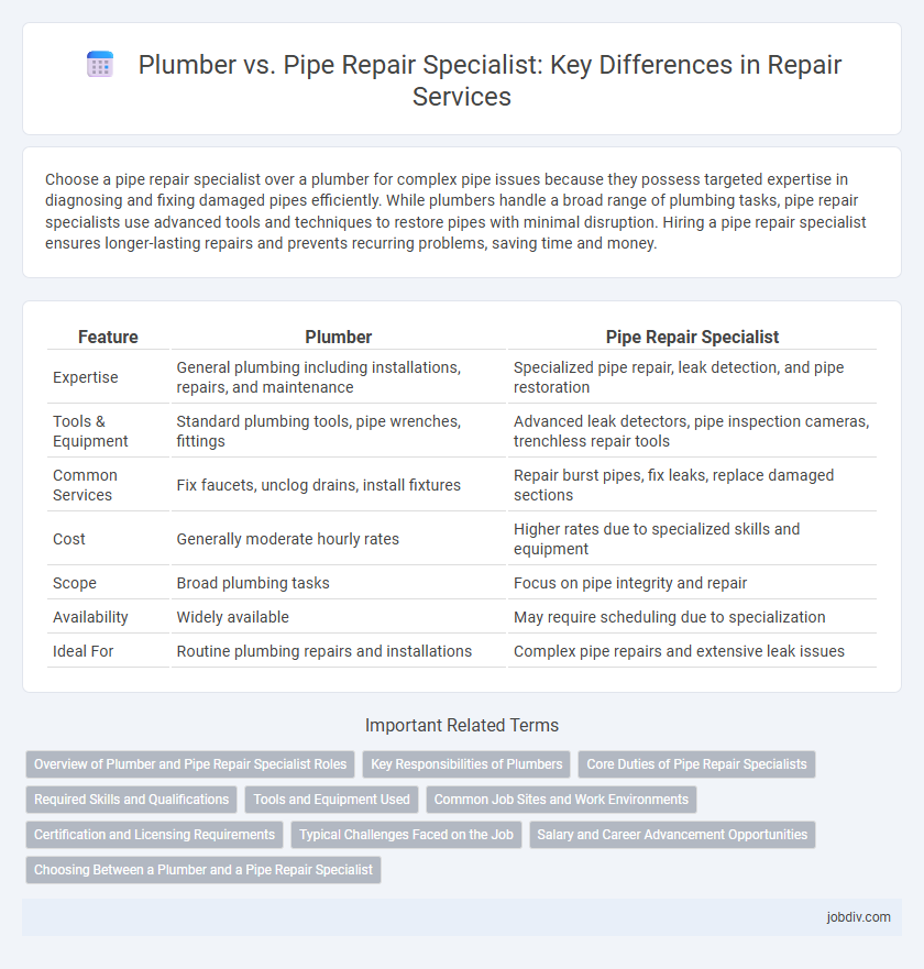 Plumber vs. Pipe Repair Specialist: Key Differences in Repair Services
