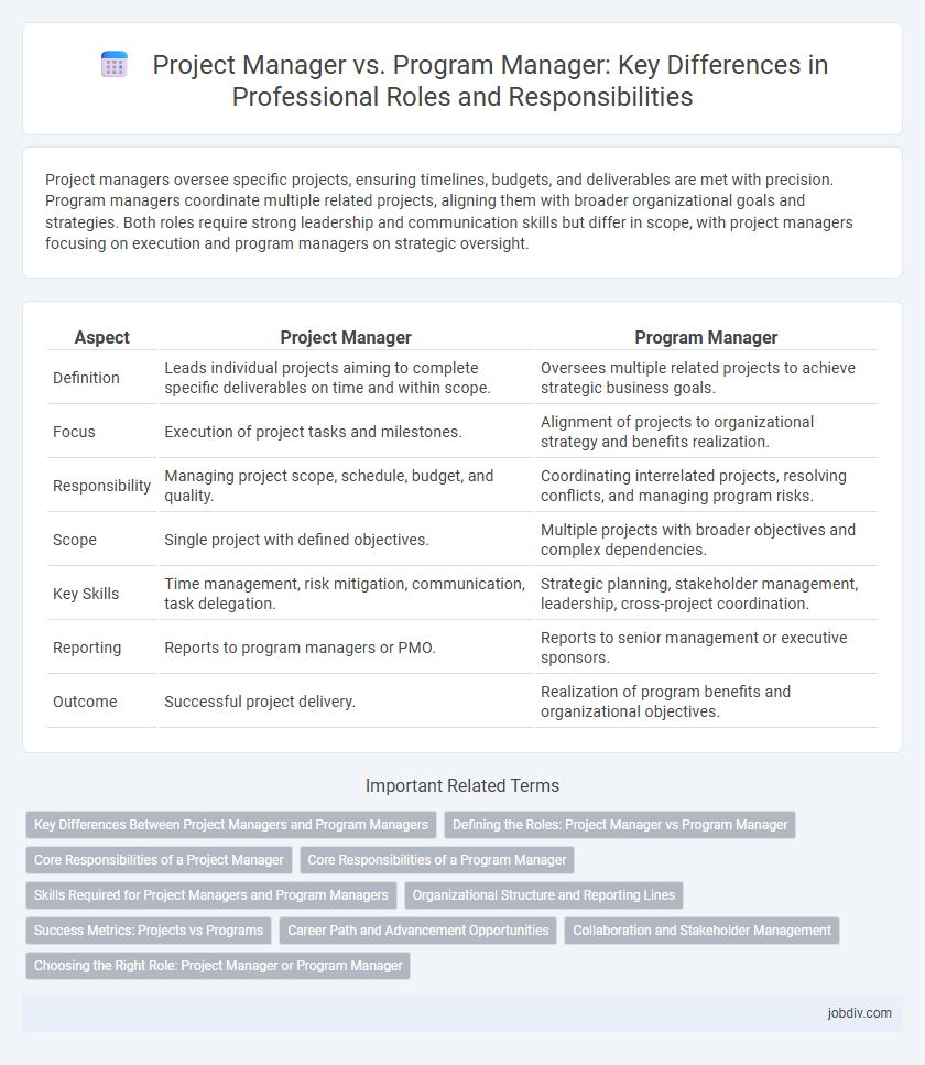 Project Manager vs. Program Manager: Key Differences in Professional Roles and Responsibilities