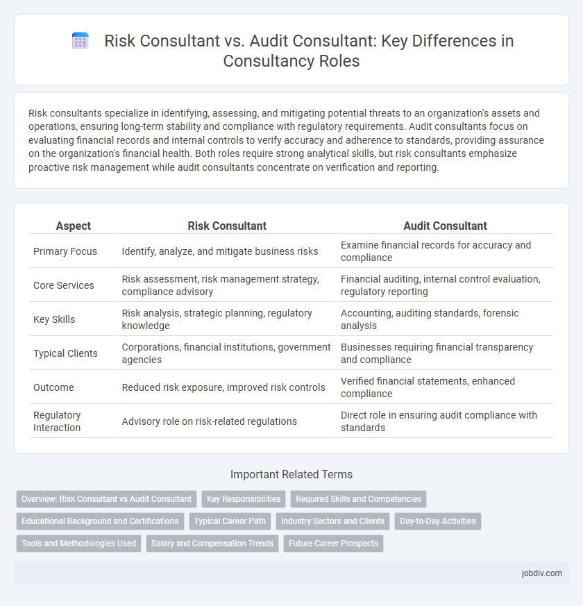 Risk Consultant vs. Audit Consultant: Key Differences in Consultancy Roles