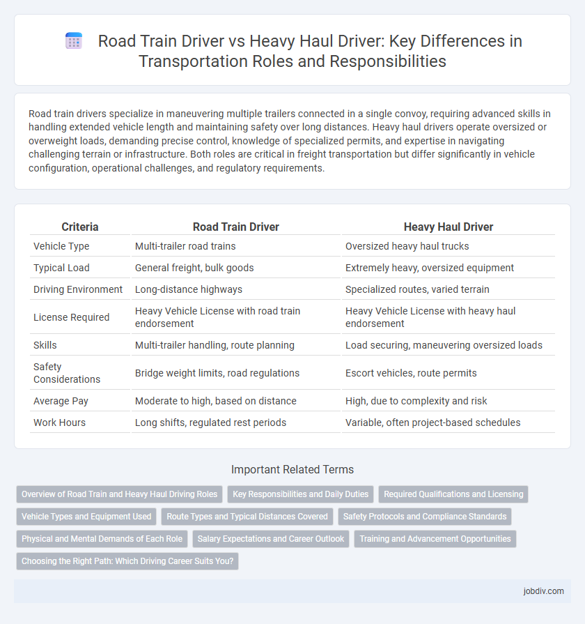 Road Train Driver vs Heavy Haul Driver: Key Differences in Transportation Roles and Responsibilities