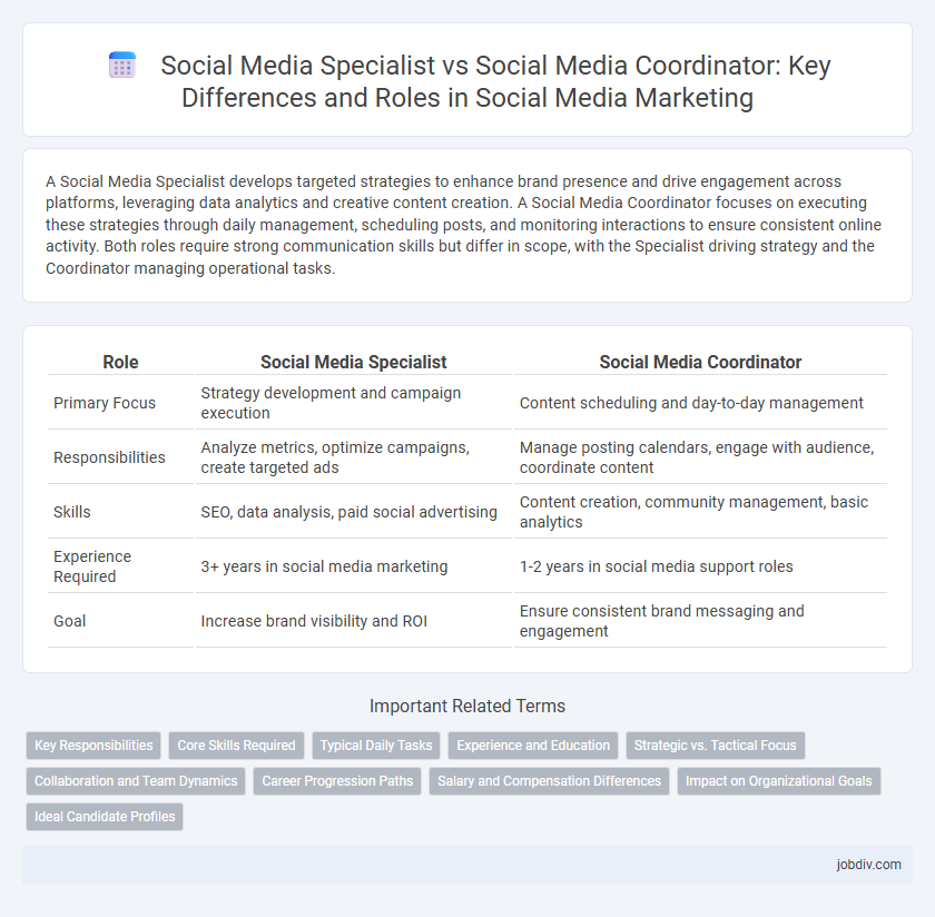 Social Media Specialist vs Social Media Coordinator: Key Differences and Roles in Social Media Marketing