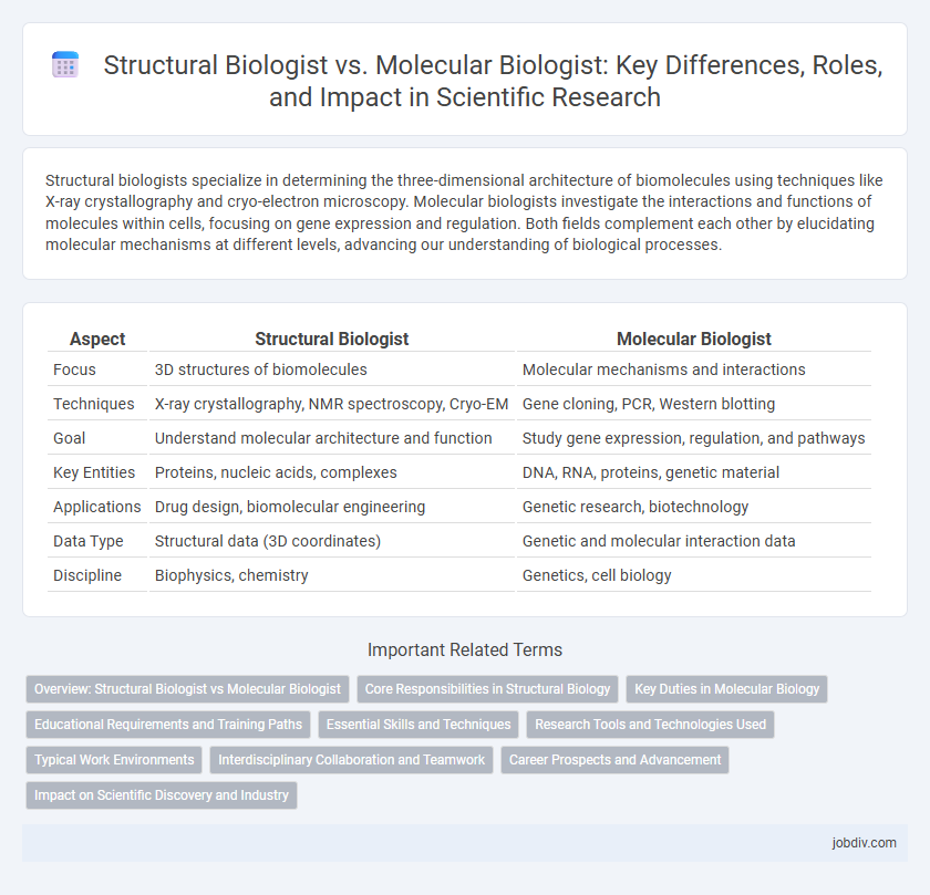 Structural Biologist vs. Molecular Biologist: Key Differences, Roles, and Impact in Scientific Research